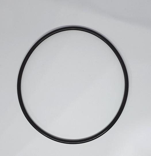 Oring(Viton) [G-165]